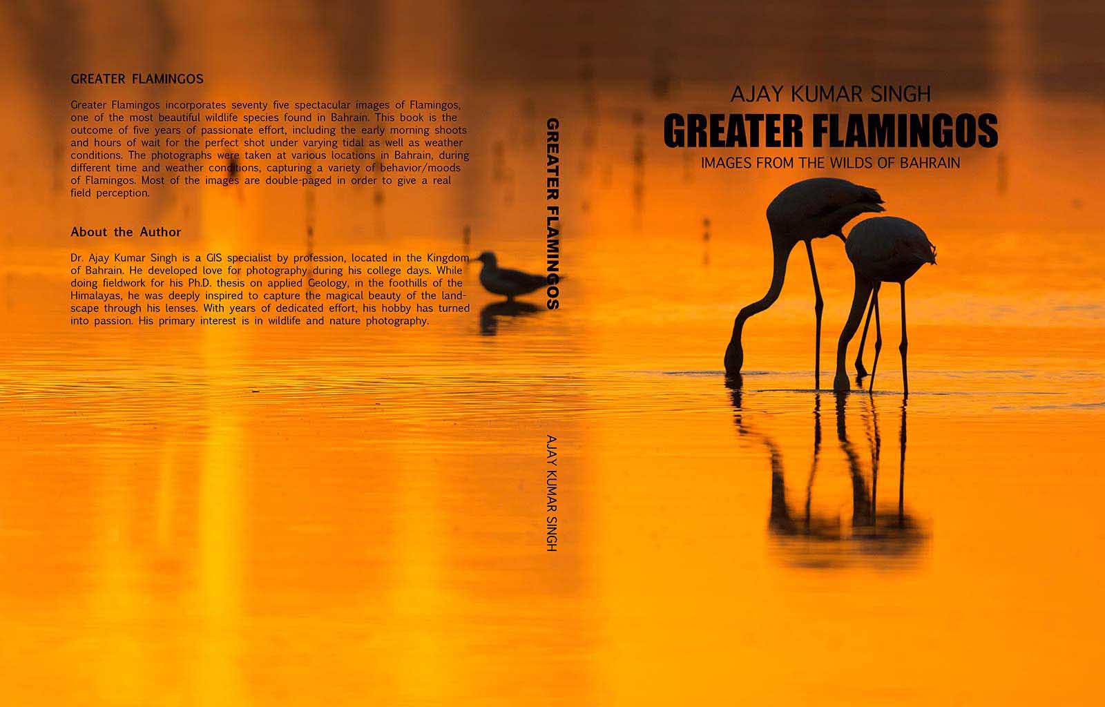 Book Cover_Paperback